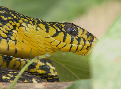 考题“撞衫”折射招聘管理乱象：BEAT365(图2)