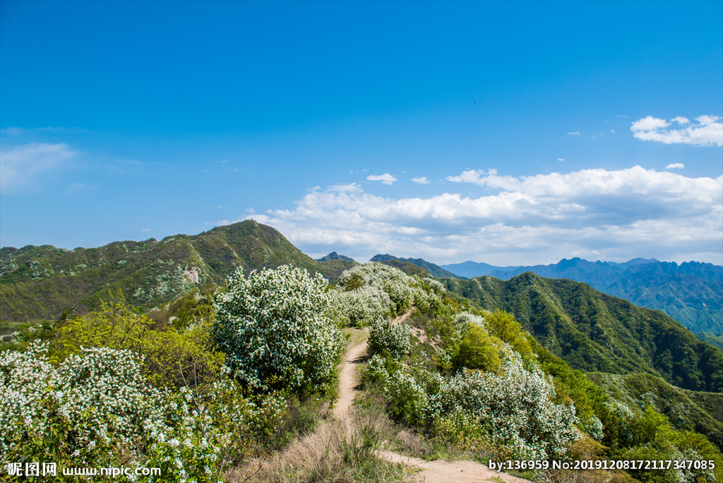 海神波塞冬纹身图案 海神纹身的寓意-beat365官网中文(图7)
海神波塞冬纹身图案 海神纹身的寓意-beat365官网中文(图7)
