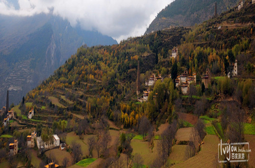 ‘beat365官网中文’让“史上最严奶粉新政”增强消费者信心(图1)