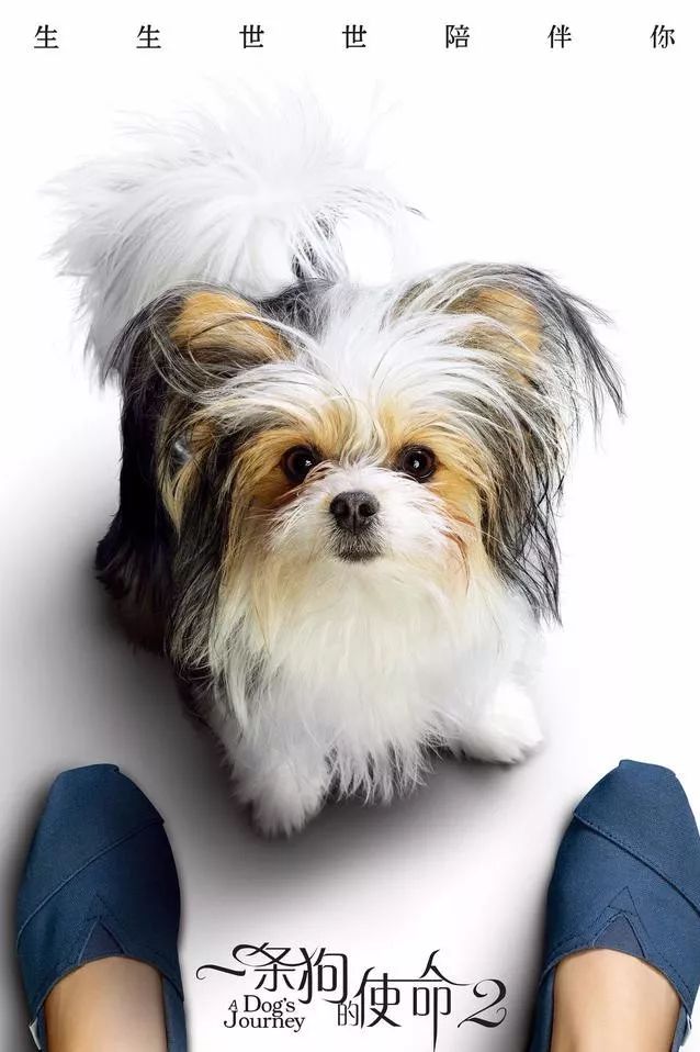 上海地铁全路网车站测温全覆盖|BEAT365(图1) 上海地铁全路网车站测温全覆盖|BEAT365(图1)